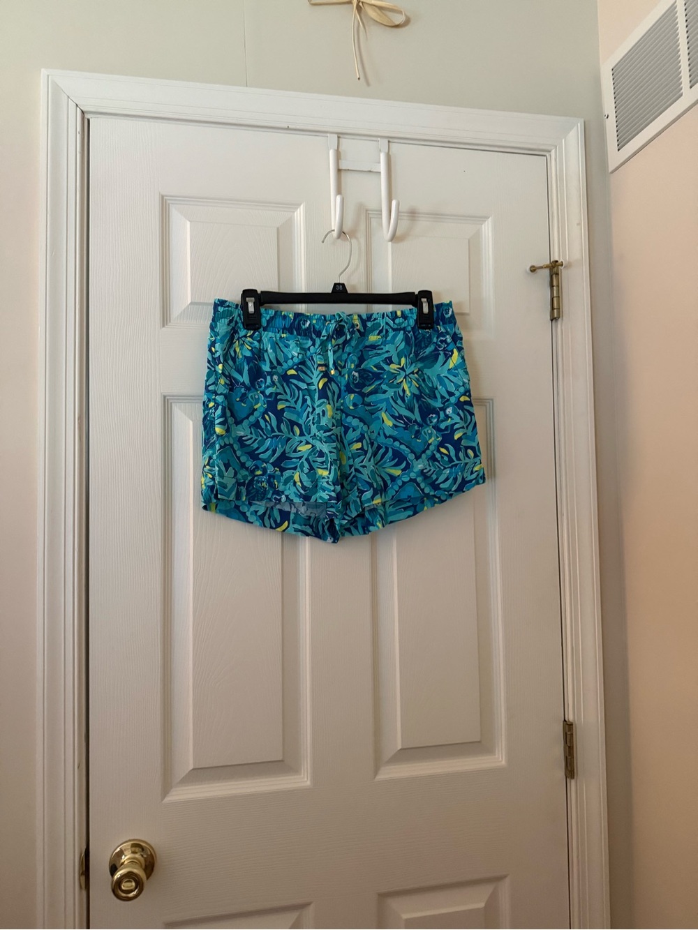 EUC Lilly Pulitzer Women's Shorts